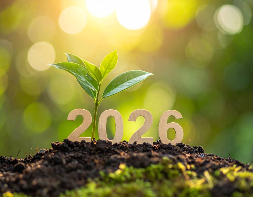 Modern baby name typography with a clean, forward-looking style